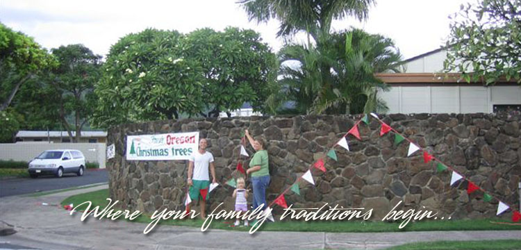 Hawaii Christmas trees